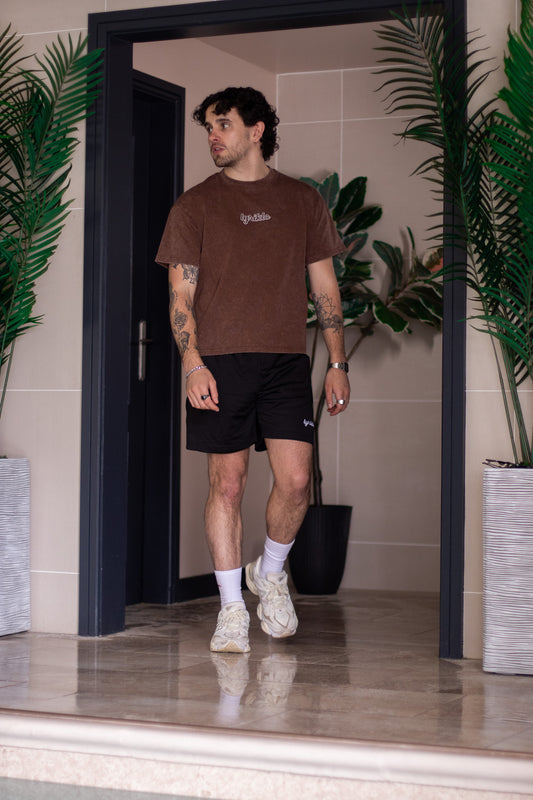 Summer 24 washed brown tee